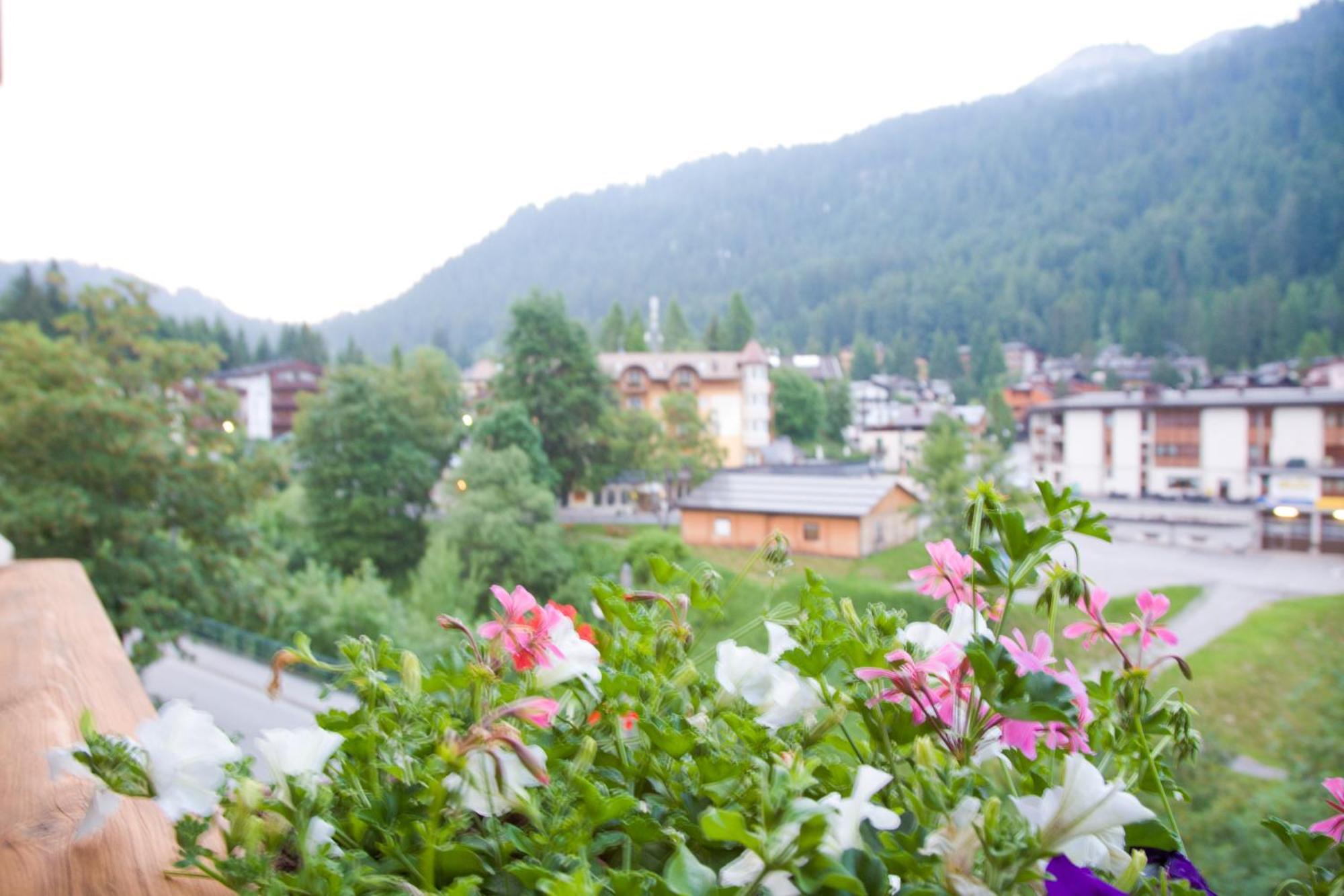 Hotel Chalet Del Brenta Madonna Extérieur photo